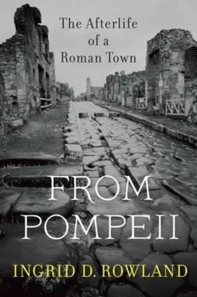 From Pompeii : The Afterlife of a Roman Town