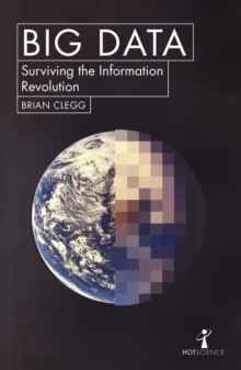 Big Data : Surviving the Information Revolution