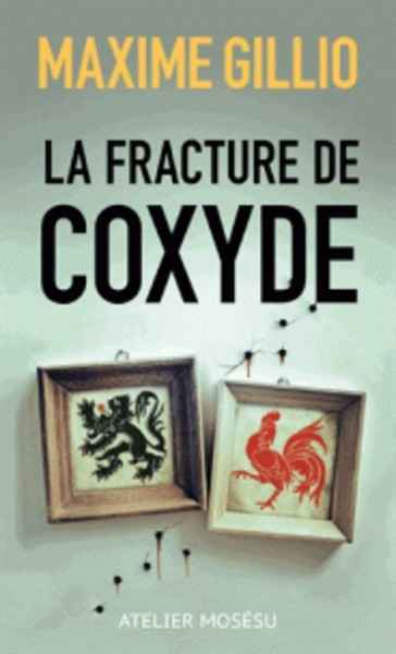 La Fracture de coxyde