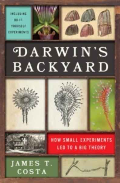 Darwin's Backyard : How Small Experiments Led to a Big Theory