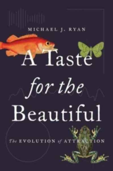A Taste for the Beautiful : The Evolution of Attraction