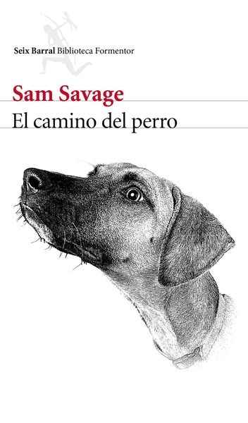 El camino del perro