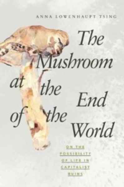 The Mushroom at the End of the World : On the Possibility of Life in Capitalist Ruins