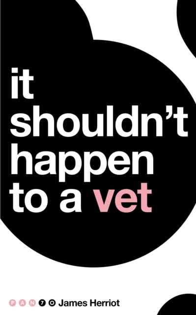 It Shouldn't Happen to a Vet