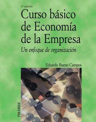 Curso básico de Economía de la Empresa