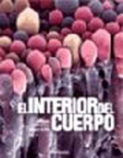 El interio del cuerpo