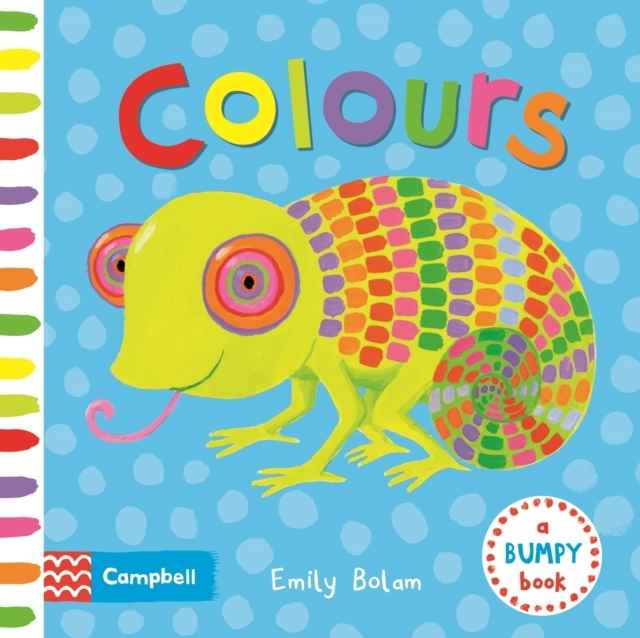 Colours   board book