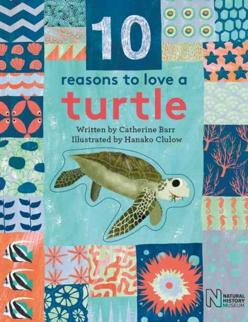 10 Reasons to Love....a Turtle