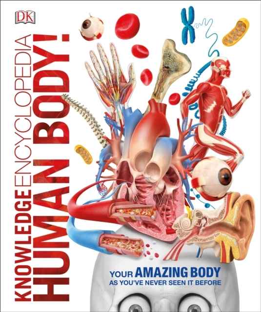 Knowledge Encyclopedia: Human Body!