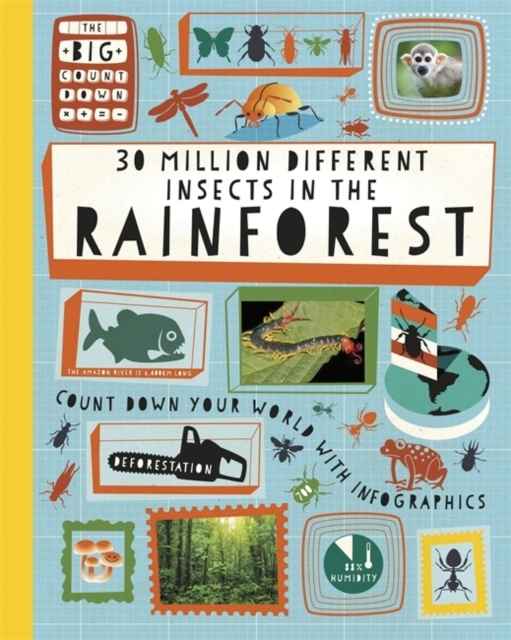 30 Million Different Insects in the Rainforest