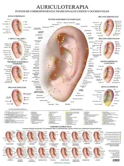 Láminas. Auricultura