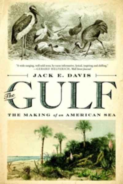 The Gulf : The Making of An American Sea