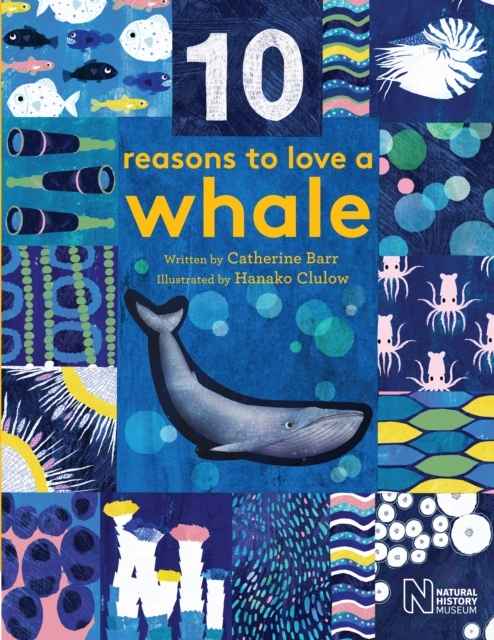 10 Reasons to Love...a Whale
