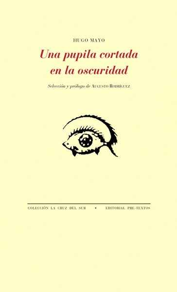 Una pupila cortada en la oscuridad