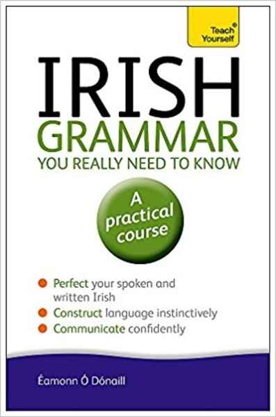 Irish Grammar You Really Need to Know: Teach Yourself