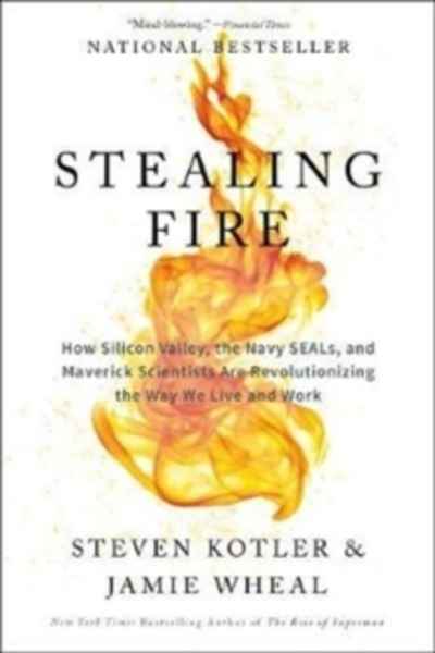 Stealing Fire : How Silicon Valley, the Navy SEALs, and Maverick Scientists Are Revolutionizing the Way We Live