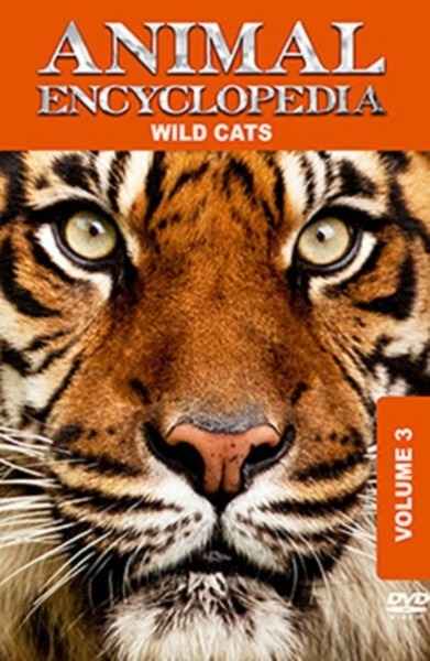 Wild Cats