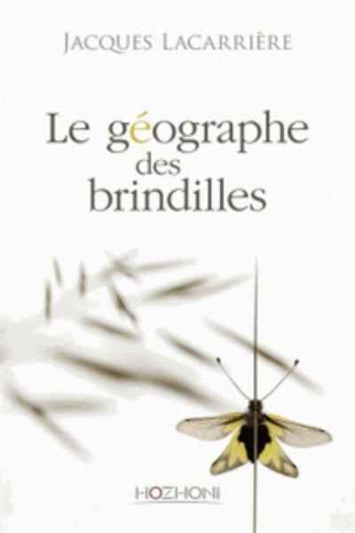 Le géographe des brindilles