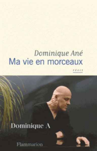 Ma vie en morceaux