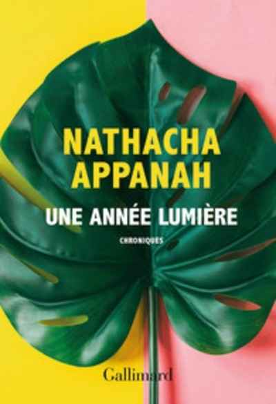 Une année lumière. Chroniques