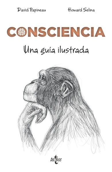 Consciencia