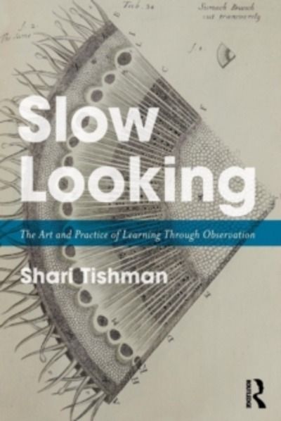 Slow Looking : The Art and Practice of Learning Through Observation