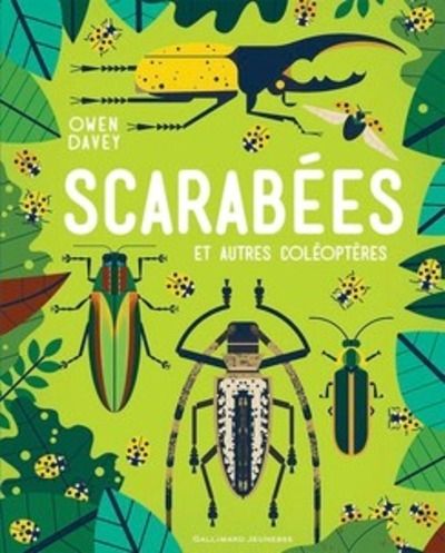 Scarabées et autres coléoptères