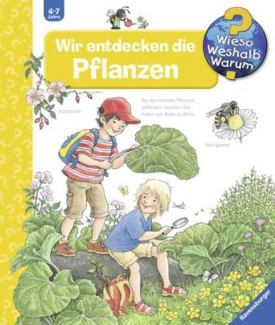 Wir entdecken die Pflanzen