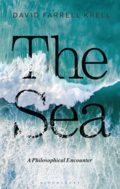 The Sea, A Philosophical Encounter