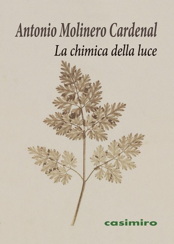 La chimica della luce