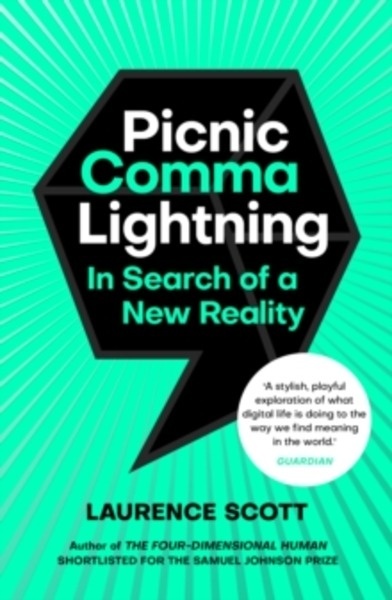 Picnic Comma Lightning : In Search of a New Reality