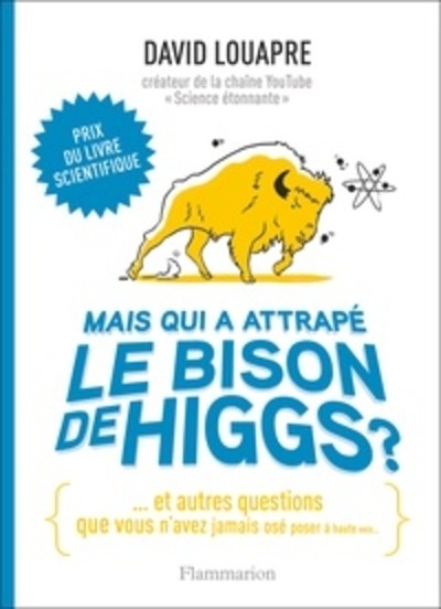 Mais qui a attrapé le bison de Higgs ? - Et autres questions que vous n'avez jamais osé poser à haute voix...