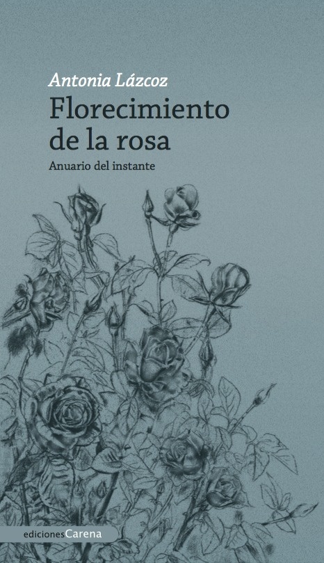 Florecimiento de la rosa