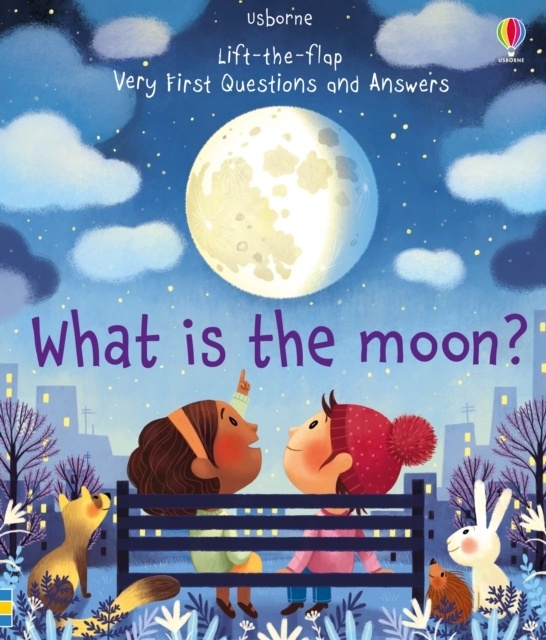 What is the Moon?