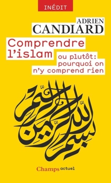 Comprendre l'islam ou plutôt : pourquoi on n'y comprend rien