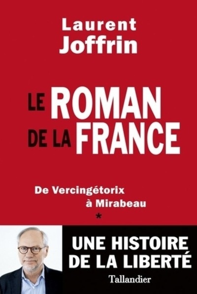 Une histoire politique et affectueuse de la France
