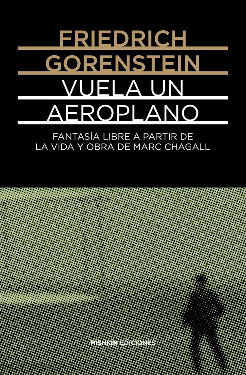 Vuela un aeroplano