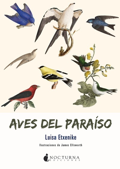 Aves del paraíso