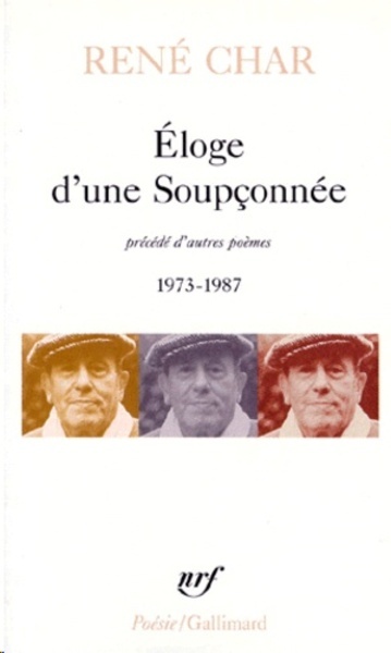 Éloge d'une soupçonnée