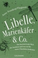 Libelle, Marienkäfer und  Co