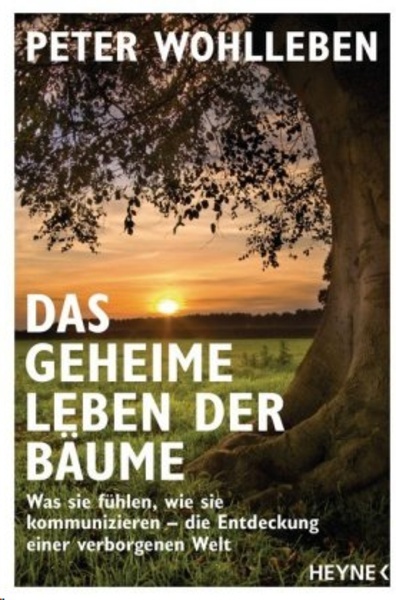 Das geheime Leben der Bäume