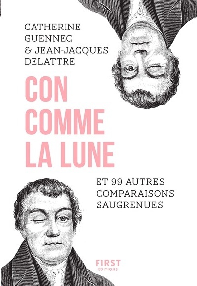 Con comme la lune et 99 autres expressions comparables