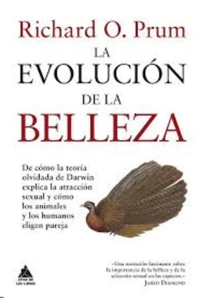 La evolución de la belleza