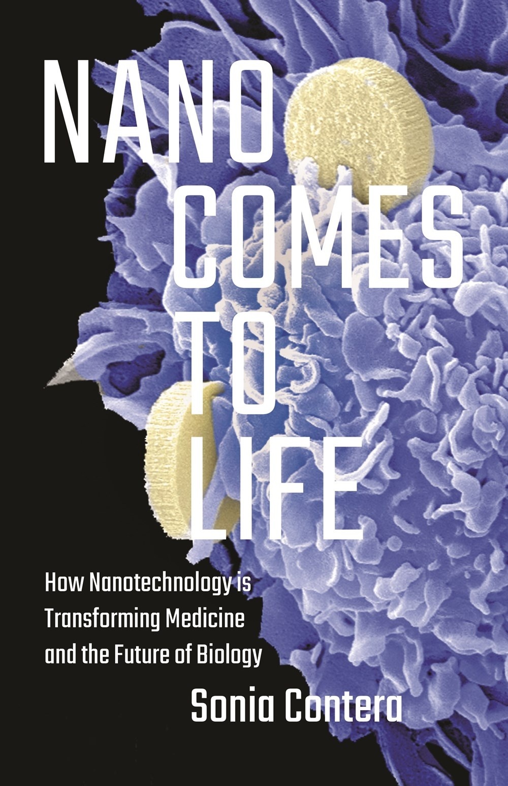 Nano Comes to Life : How Nanotechnology Is Transforming Medicine and the Future of Biology