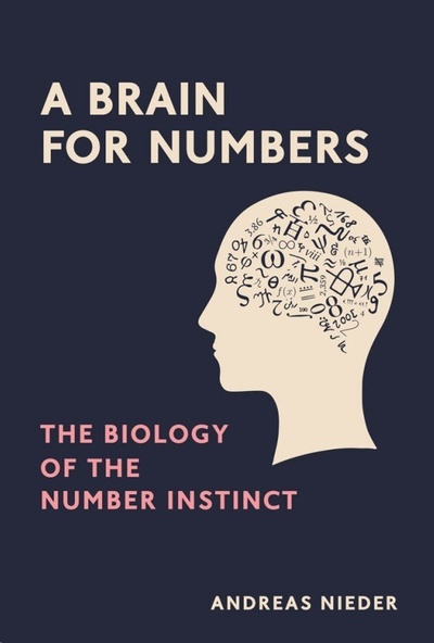 A Brain for Numbers