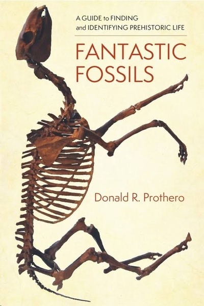 Fantastic Fossils : A Guide to Finding and Identifying Prehistoric Life