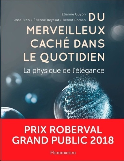 Du merveilleux caché dans le quotidien - La physique de l'élégance