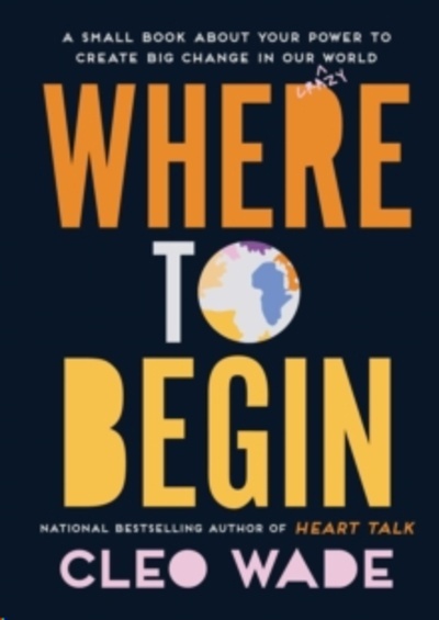 Where to Begin : A Small Book about Your Power to Create Big Change in Our Crazy World