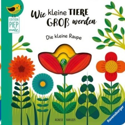 Wie kleine Tiere gross werden - Die kleine Raupe