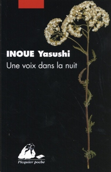 Une voix dans la nuit